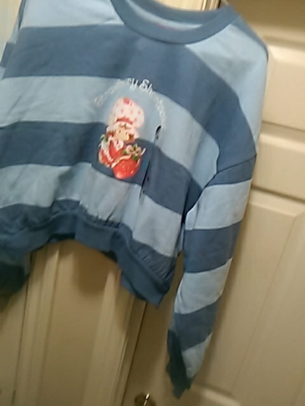 Light & Dark Blue Striped Kids Sweatshirt with Strawberry Graphic